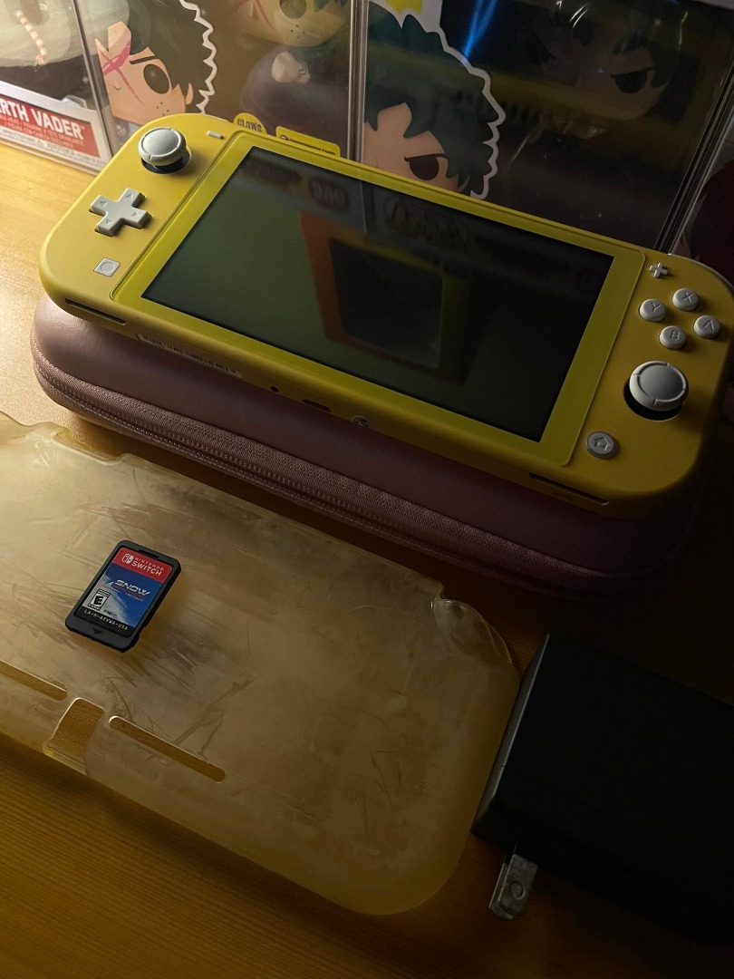 Nintendo Switch Lite w/ 1 Physical Game, Video Gaming, Video Game