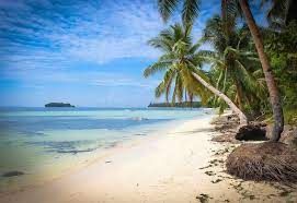 RARE Find Ideal Size 1888 sqm Beach Front Lot in Siargao with White Sand Swimmable Beach