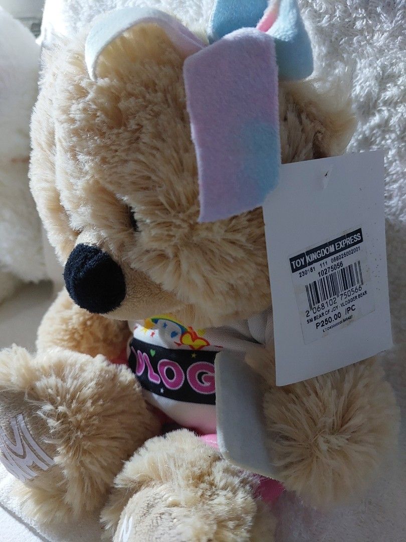SM Bear Joy Vlogger Bear Hobbies Toys Toys Games on Carousell