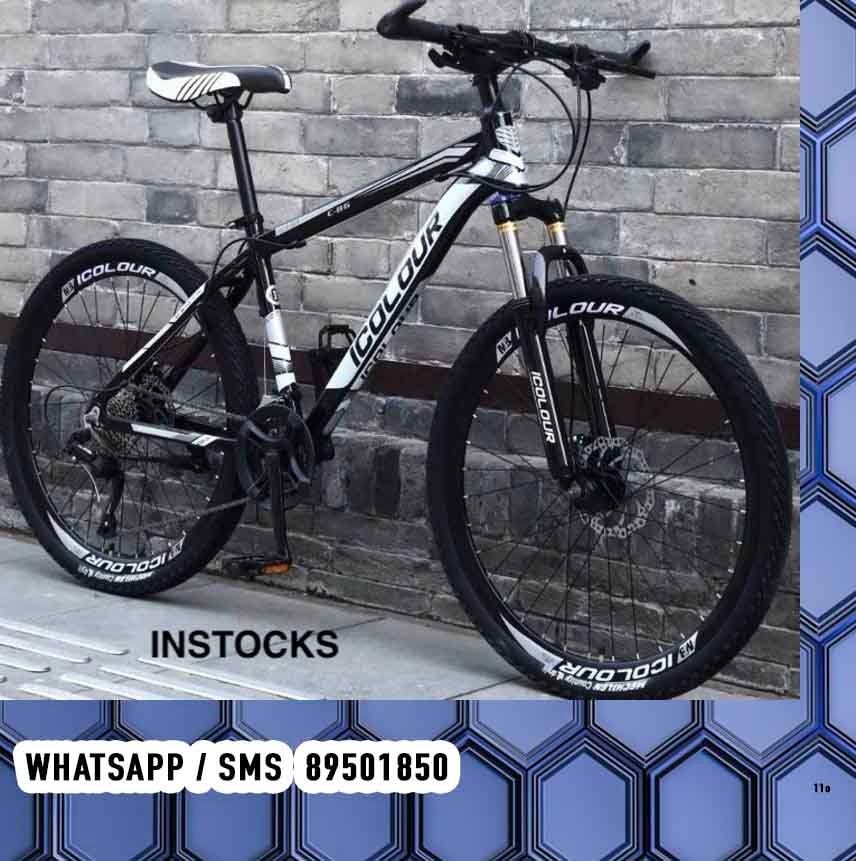 Icolour mountain 2025 bike specs