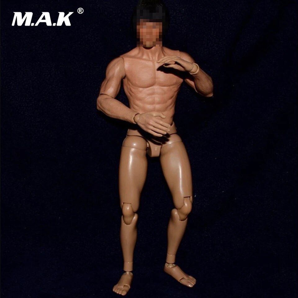1/6 Scale Male Action Figure Body 12 Inch Male Body Model Muscular Body  Narrow Shoulder