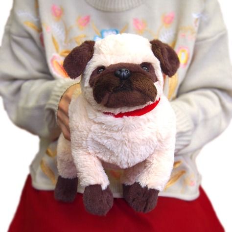 預購 日本品牌 SUN LEMON Pug 八哥 巴哥 毛絨公仔 34cm, 興趣及遊戲, 玩具 & 遊戲類 - Carousell