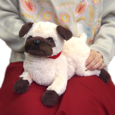預購 日本品牌 SUN LEMON Pug 八哥 巴哥 毛絨公仔 34cm, 興趣及遊戲, 玩具 & 遊戲類 - Carousell