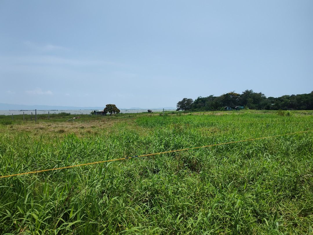 Agri Land in Pililla Rizal beside Resort, between Highway & Laguna Lake