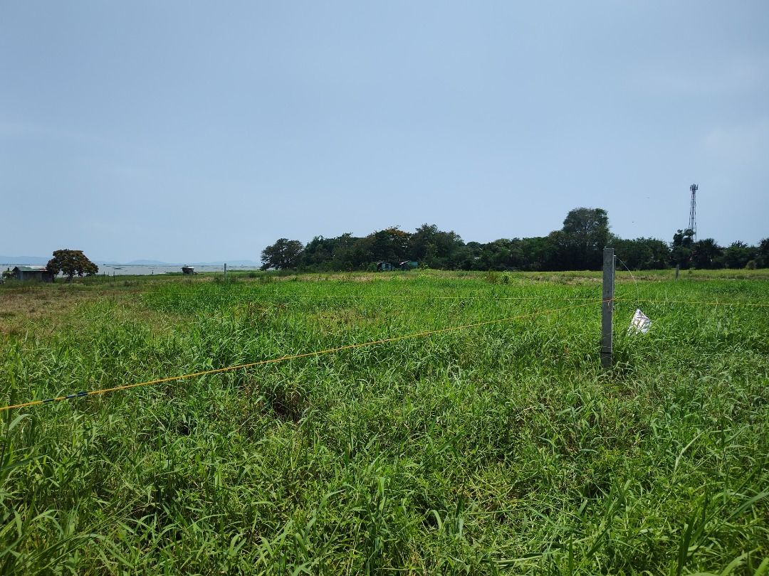 Agri Land in Pililla Rizal beside Resort, between Highway & Laguna Lake