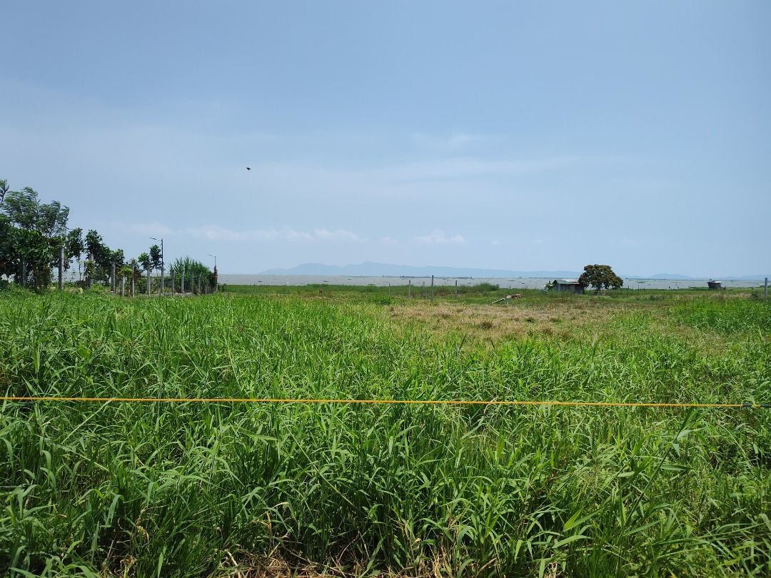 Agri Land in Pililla Rizal beside Resort, between Highway & Laguna Lake