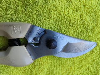 (Category: ) located in . Submitted by edsolis096 (Listing ID 1259900225, Image 1). Description: .