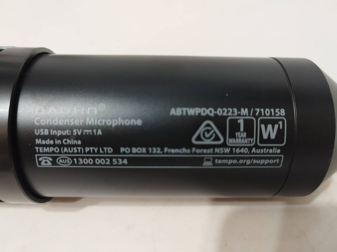 BAUHN Condenser Microphone, Audio, Microphones on Carousell