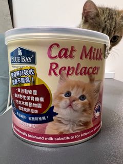 （分類：）位於 。 由 bao.y 提交（商品編號 1259896355，圖片 1）。簡介： 。