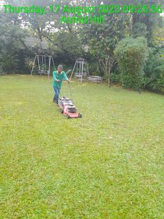 Garden maintenance / Garden designing/landscaping/ pesticides/Tree Trimming/ tree Cutting/Tree pruning/ Grass cutting/Grass trimming/ Grass Pruning / artificial grass/ Pearl grass/Carpet grass