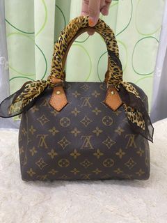 Louis Vuitton Cherry Speedy, Women's Fashion, Bags & Wallets, Purses &  Pouches on Carousell