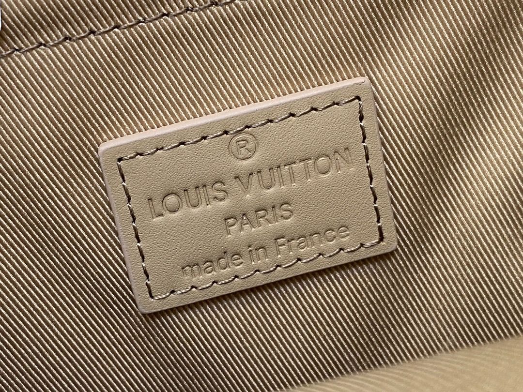 Louis Vuitton Pilot Slingbag