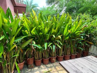 (Category: ) located in . Submitted by raghav29 (Listing ID 1259828758, Image 1). Description: .