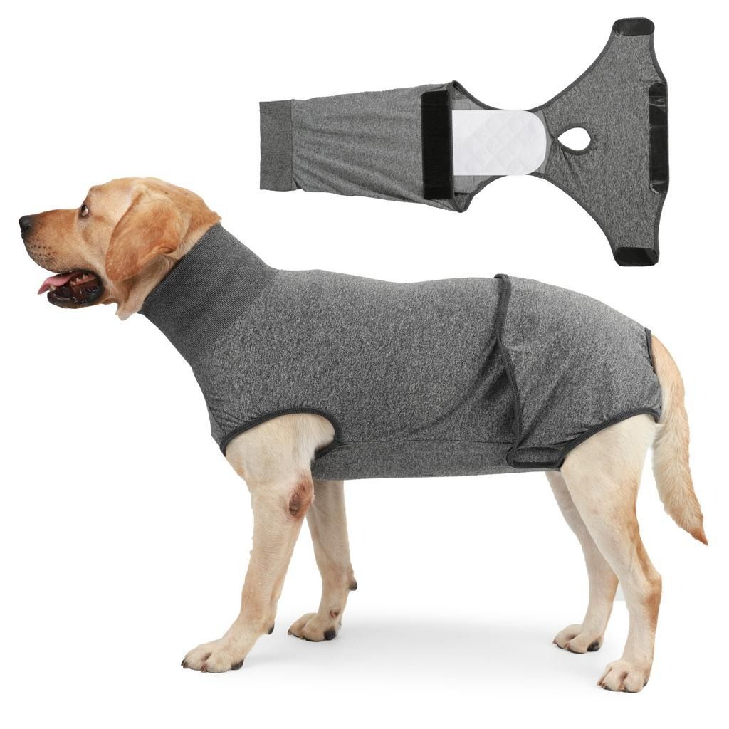 Collar dogs cheap wear after surgery