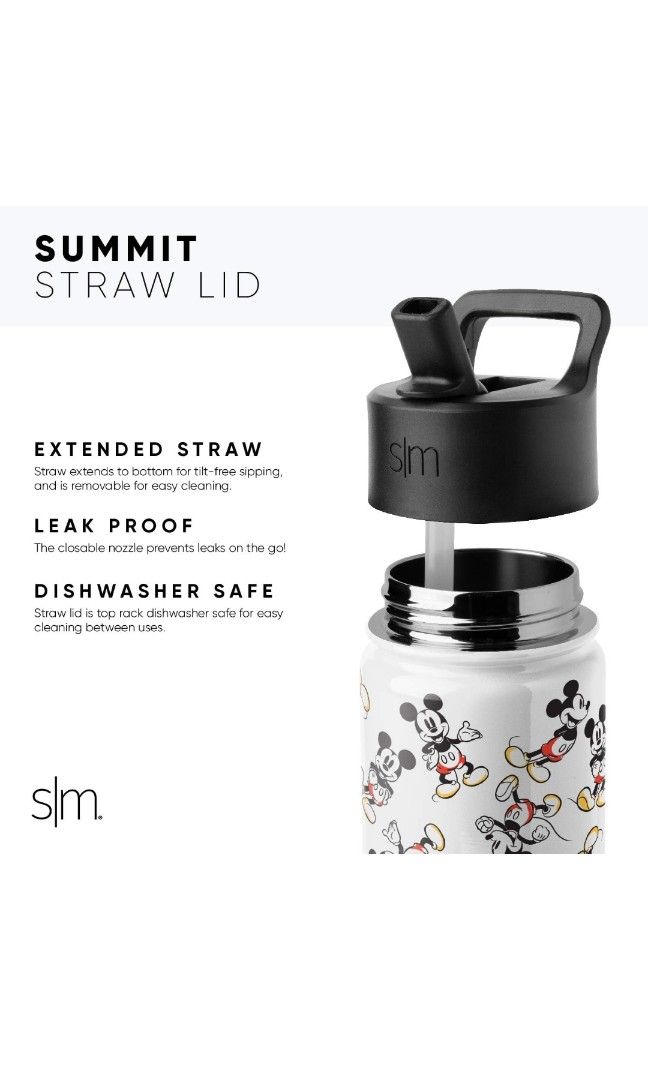 Simple Modern 14oz Stainless Steel Dino Summit Kids Tumbler With