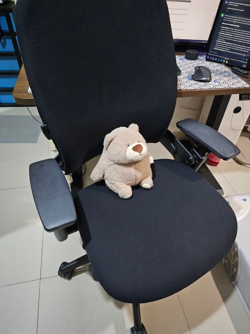 Steelcase Leap V2 Ergonomic chair Furniture Home Living