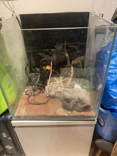 （分類：）位於 。 由 chrisssc 提交（商品編號 1260097461，圖片 1）。簡介： 。