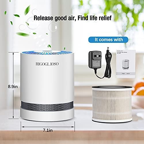 Hepa air shop purifier no ozone