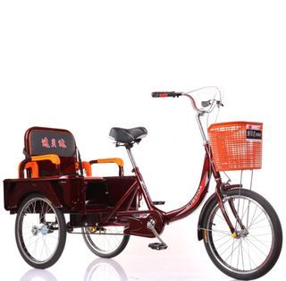 trek tricycle for adults