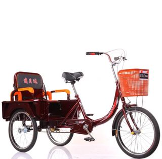 Electric tricycle sale child carrier