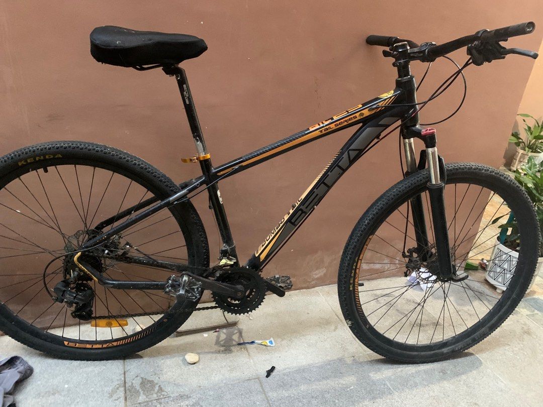 Beta mountain bike 29ers Sports Equipment Bicycles Parts