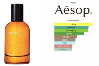 Tacit aesop online