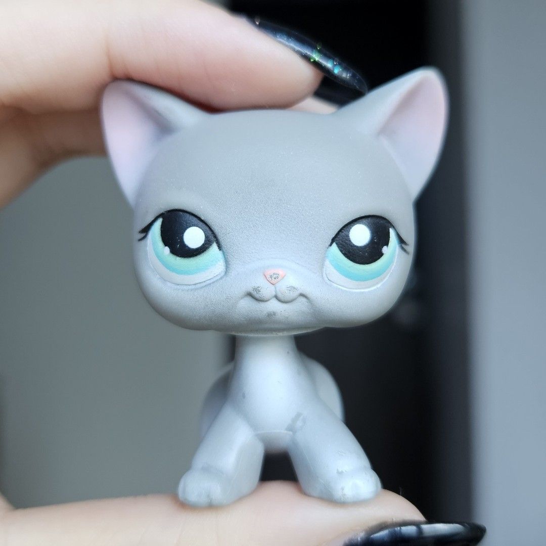 Lps shop grey shorthair