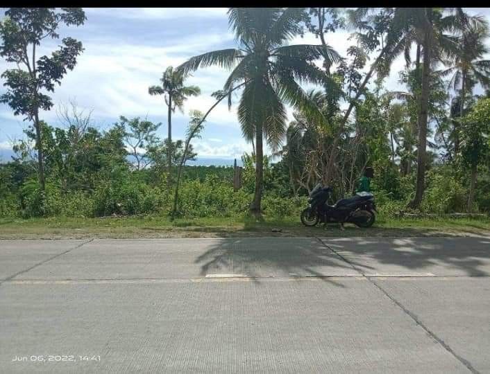 Lot for Sale Along National Highway in Loon, Bohol, Property, For Sale