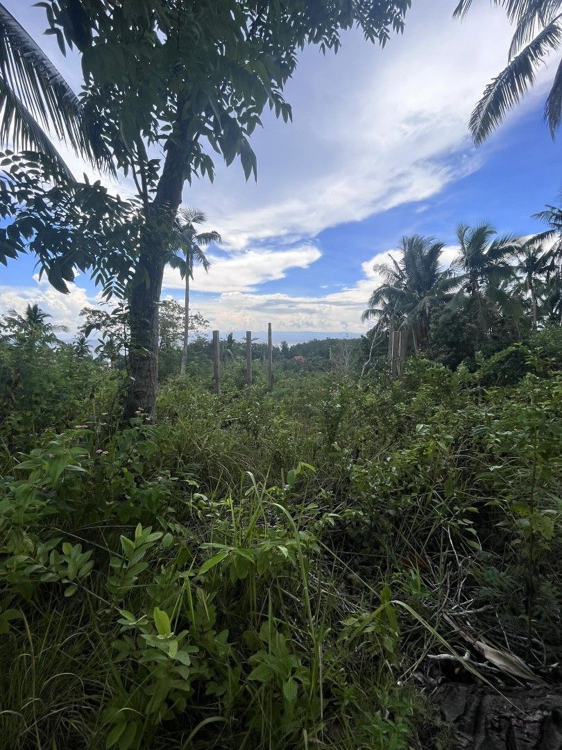 Lot for Sale Along National Highway in Loon, Bohol, Property, For Sale