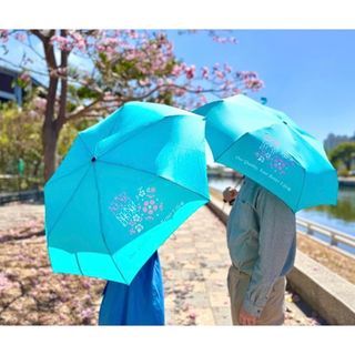 傘Q 雨傘 折疊傘 Tiffany 藍