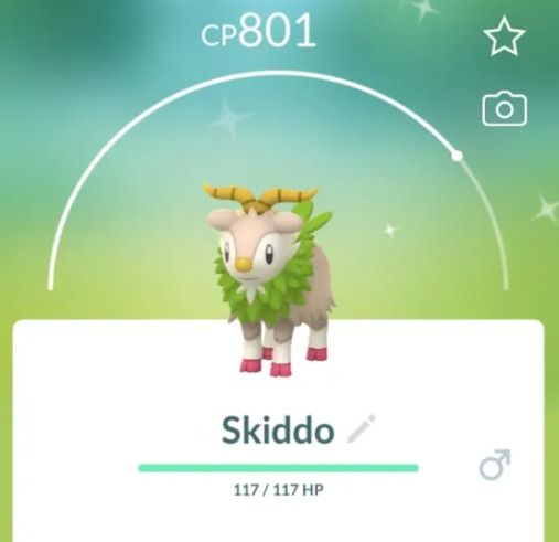 Pokemon Skiddo