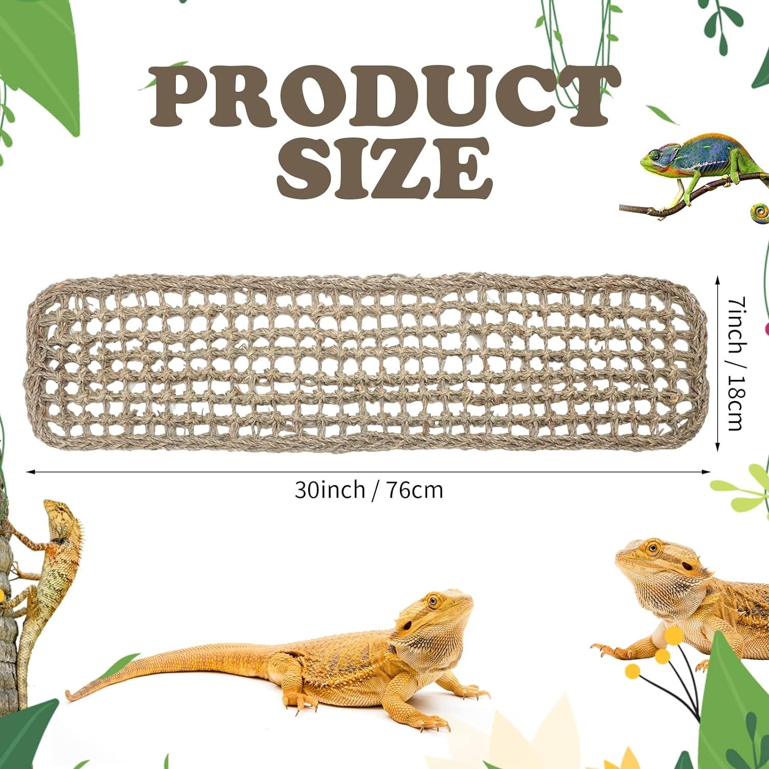 Bearded dragon deals climbing accessories