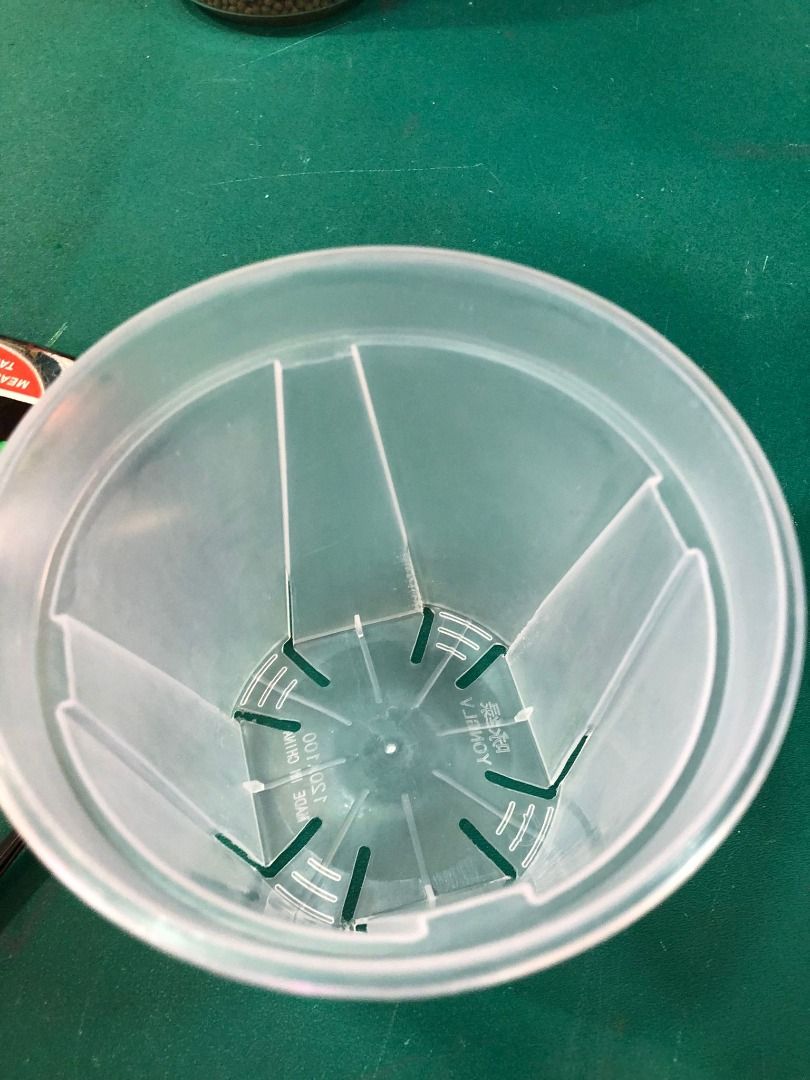 Transparent Pot With many Aeration holes good for Houseplants / Aroids