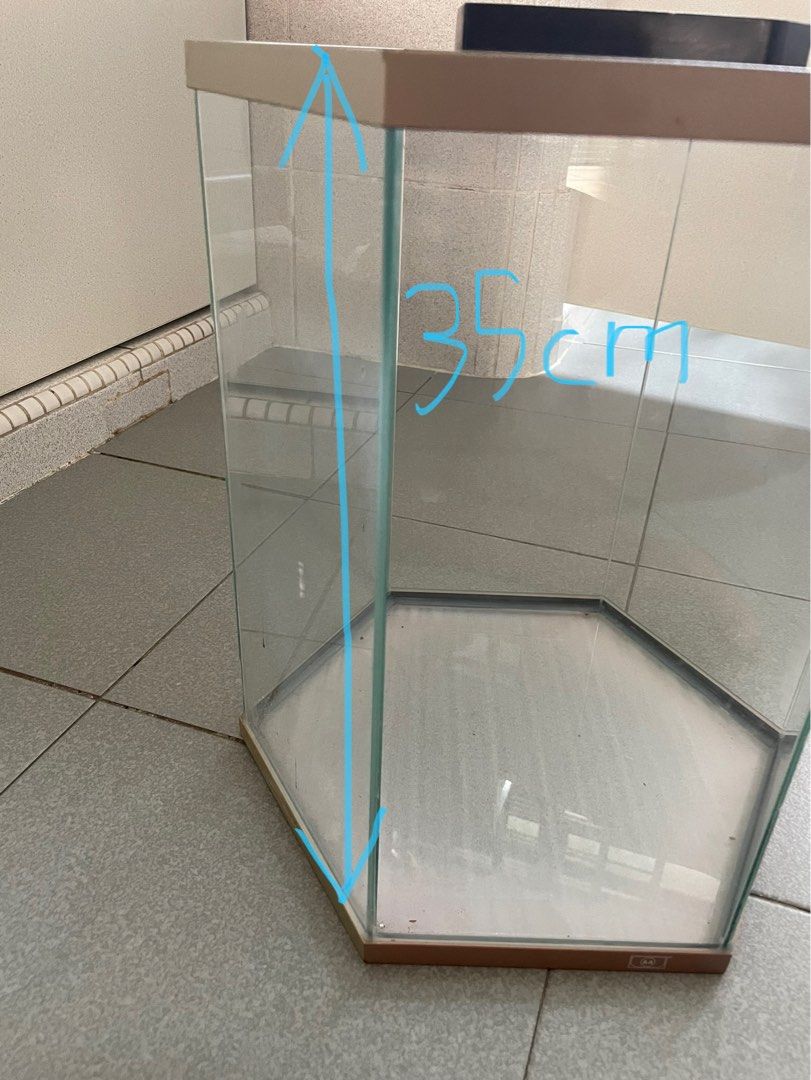 35cm Tall Glass Hexagon Fish Tank, Pet Supplies, Homes & Other Pet