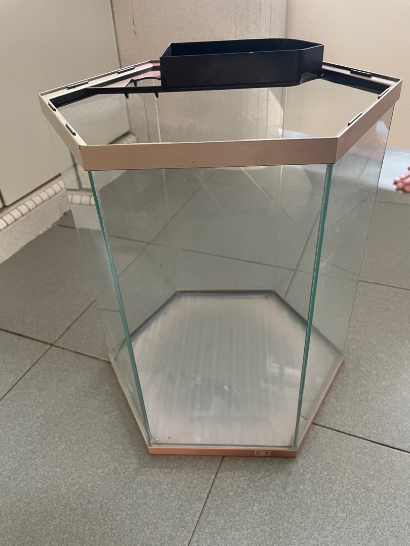 35cm Tall Glass Hexagon Fish Tank, Pet Supplies, Homes & Other Pet