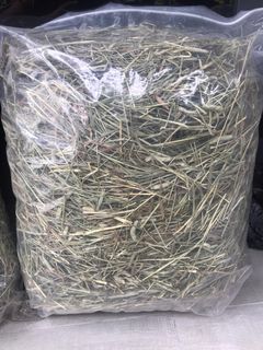 (Category: ) located in . Submitted by shepherdnsheep (Listing ID 1260274869, Image 1). Description: .