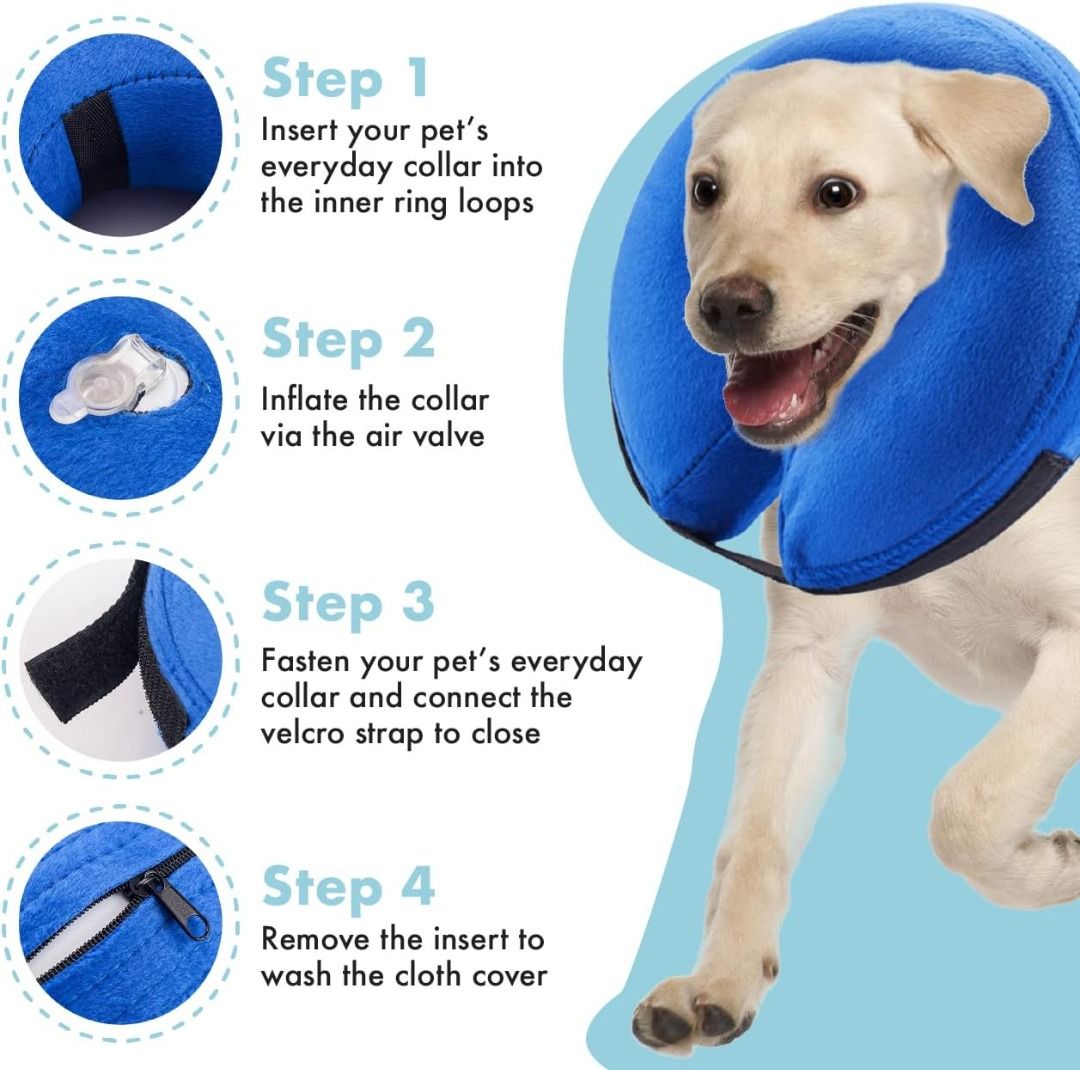 Inflatable collar petstock outlet