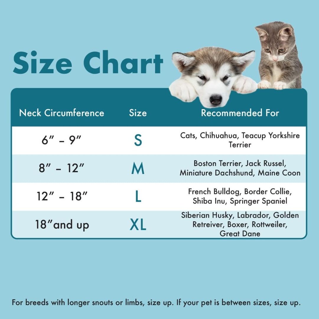 GoodBoy Comfortable Recovery E Collar for Dogs and Cats Soft