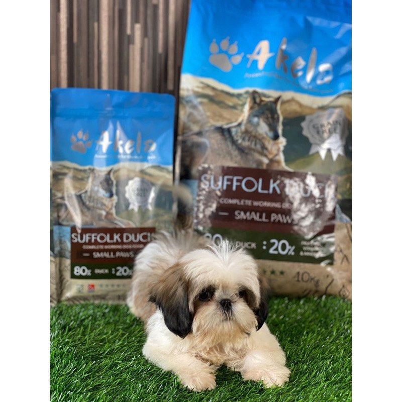 Akela Kibbles Pet Supplies Pet Food on Carousell