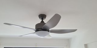 (Category: ) located in . Submitted by fre8161 (Listing ID 1260114643, Image 1). Description: .