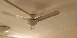 (Category: ) located in . Submitted by shan-d (Listing ID 1260154484, Image 1). Description: .
