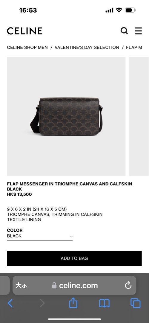 FLAP MESSENGER IN TRIOMPHE CANVAS AND CALFSKIN - BLACK