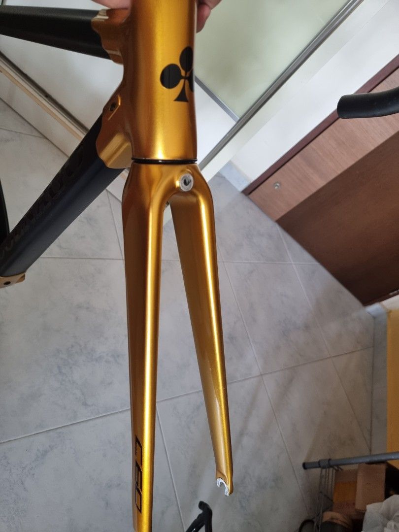 Colnago C60 frame, Sports Equipment, Bicycles & Parts, Parts & Accessories on Carousell