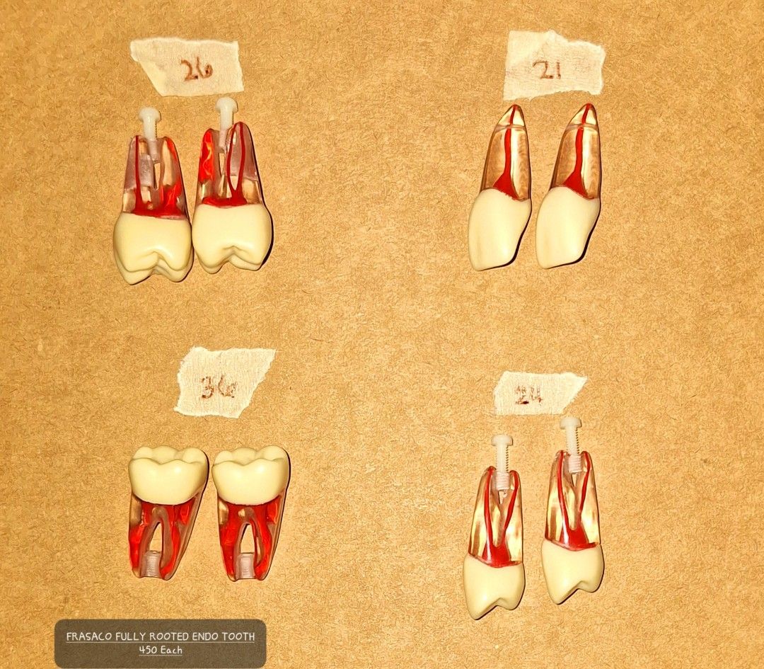 Dental articulators and materials, Health & Nutrition, Medical Supplies