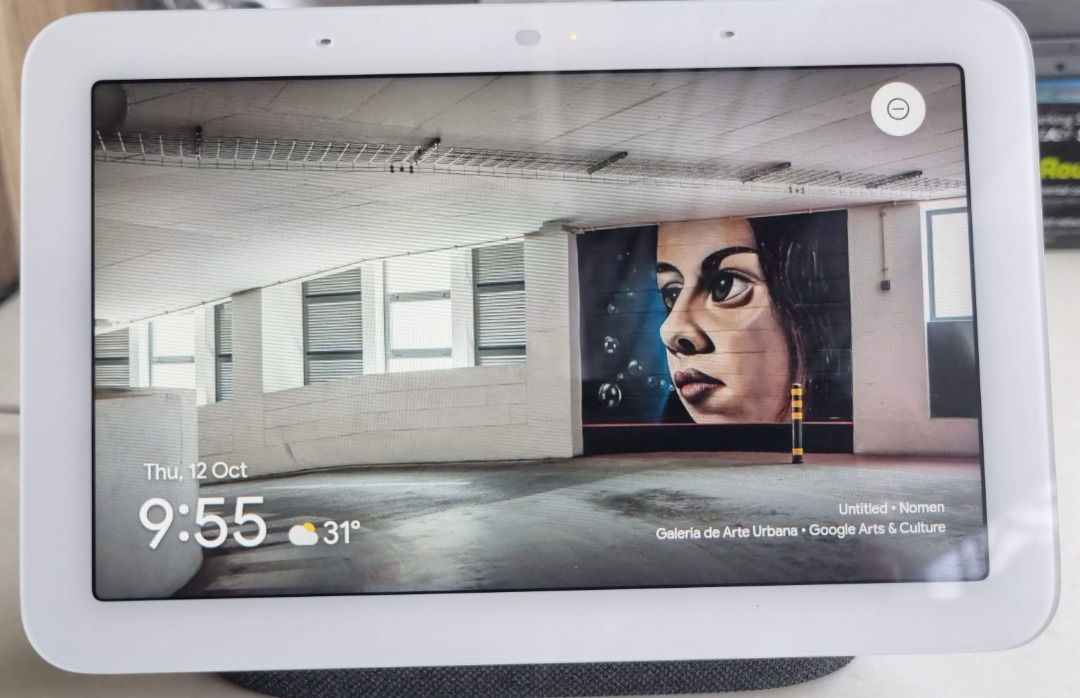 Google Nest Hub (2nd Gen) Fully functional, works great!, Mobile