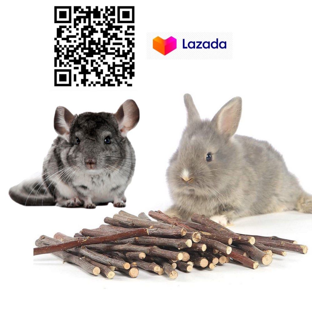 Natural Apple Stick Pet Snacks Chew Toys For Guinea Pigs