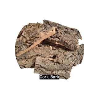(Category: ) located in . Submitted by isopodatory (Listing ID 1203105610, Image 1). Description: .