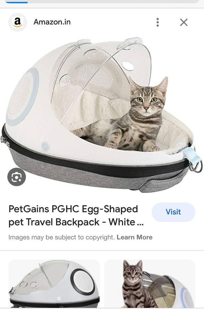 PetGains PGHC Egg-Shaped pet Travel Backpack - White