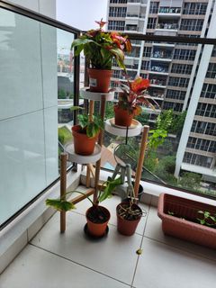 (Category: ) located in . Submitted by mandeep5062 (Listing ID 1260173908, Image 1). Description: .