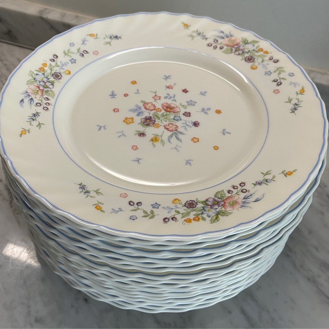 [SOLD] 20 Plates for 30! Vintage Arcopal Dinner Plates Made in France